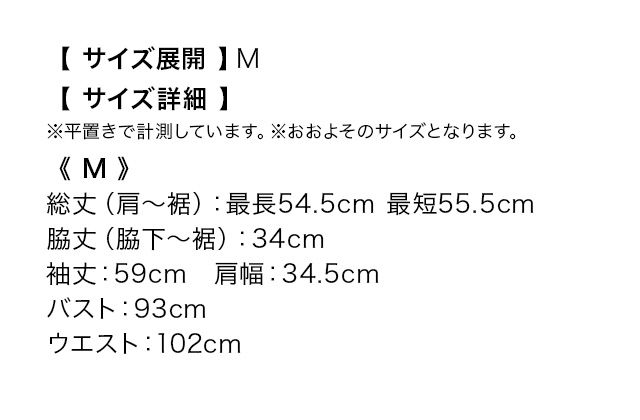 ボウタイ シフォン ブラウス