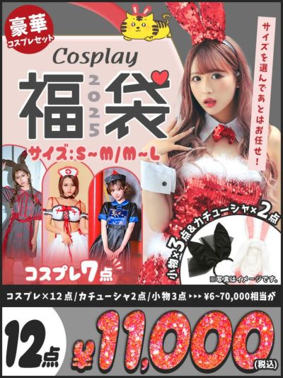 コスプレ12点で11000円